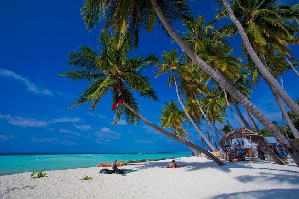 Изображение Kaani Palm Beach Guest House 1*