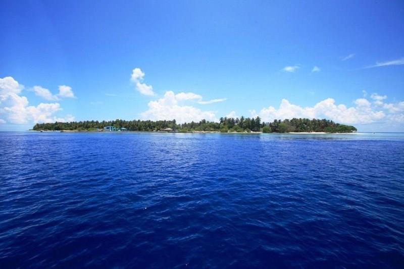 Plumeria Boutique Guest House 4* суреті