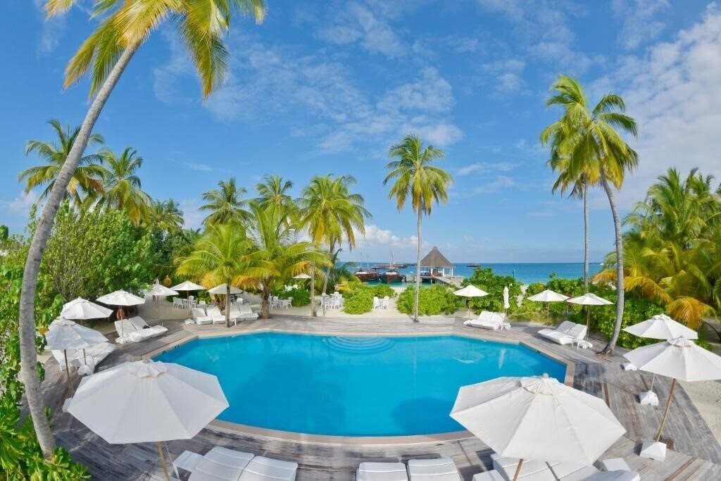 Safari Island Hotel 4* суреті