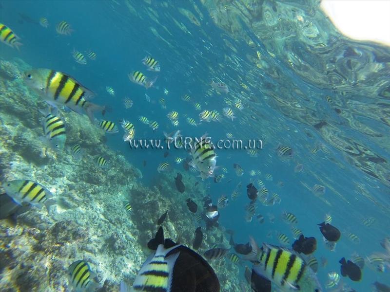 Askani Villa Guest House гостиный двор қонақ үйі