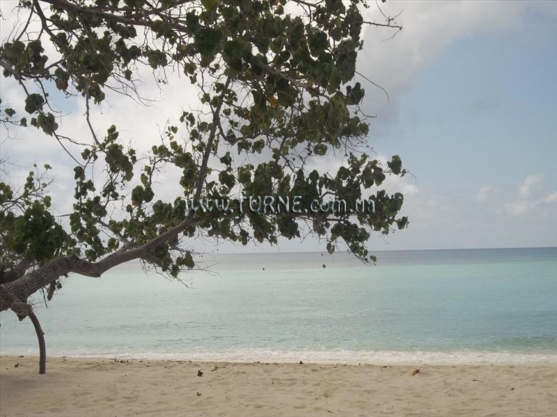 Изображение Picnic Inn 3*