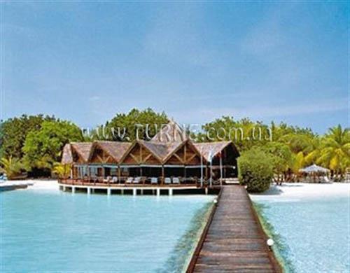 Отель Gasfinolhu Island Resort 4*