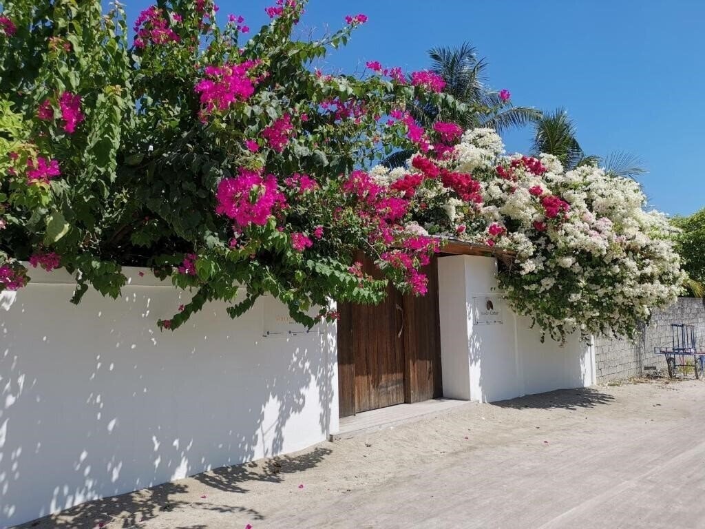 Holiday Cottage Guest House 3* қонақ үйі
