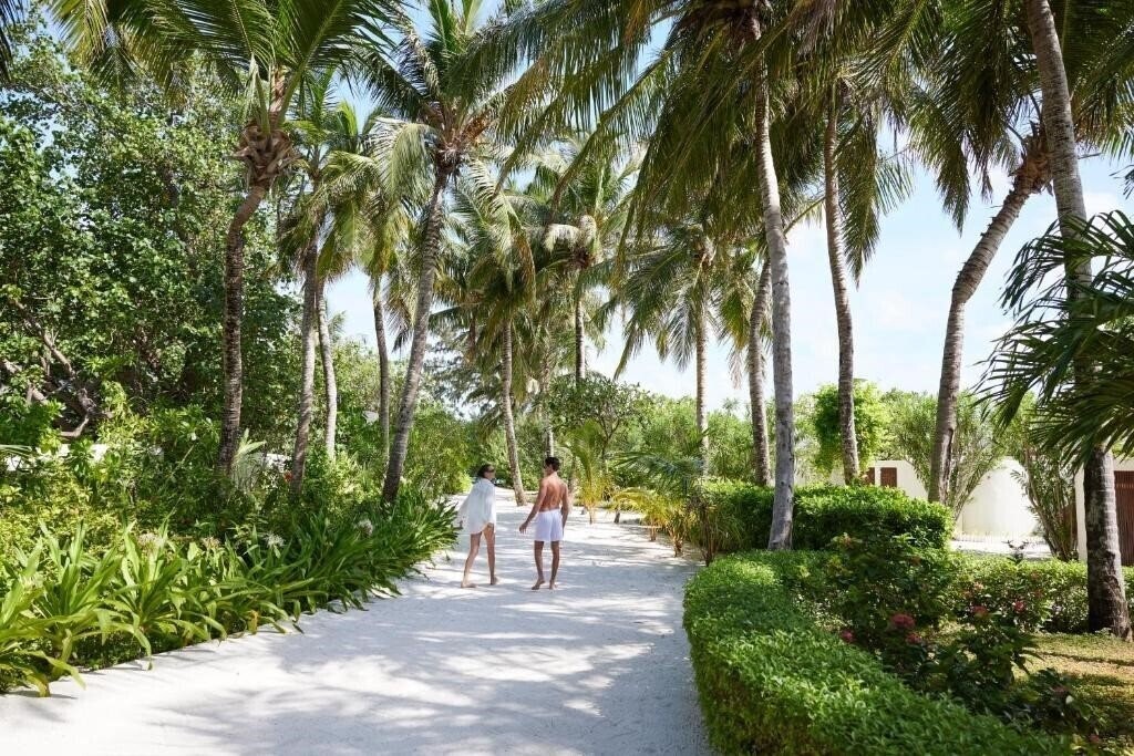 Centara Ras Fushi Resort & SPA 4* суреті
