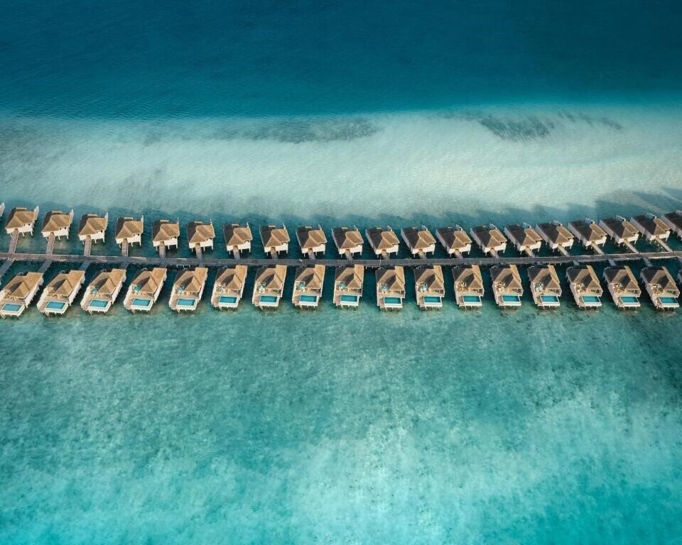 Finolhu Maldives 5* суреті