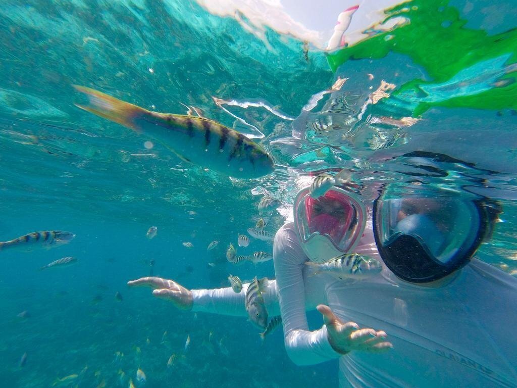 Отель Palm Lodge Guest House 1*