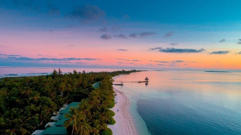 Отель Canareef Resort Maldives 4*