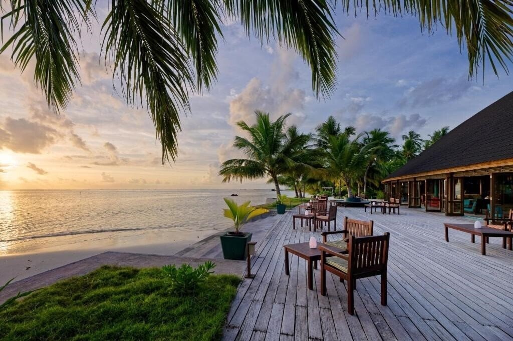 Canareef Resort Maldives 4* суреті