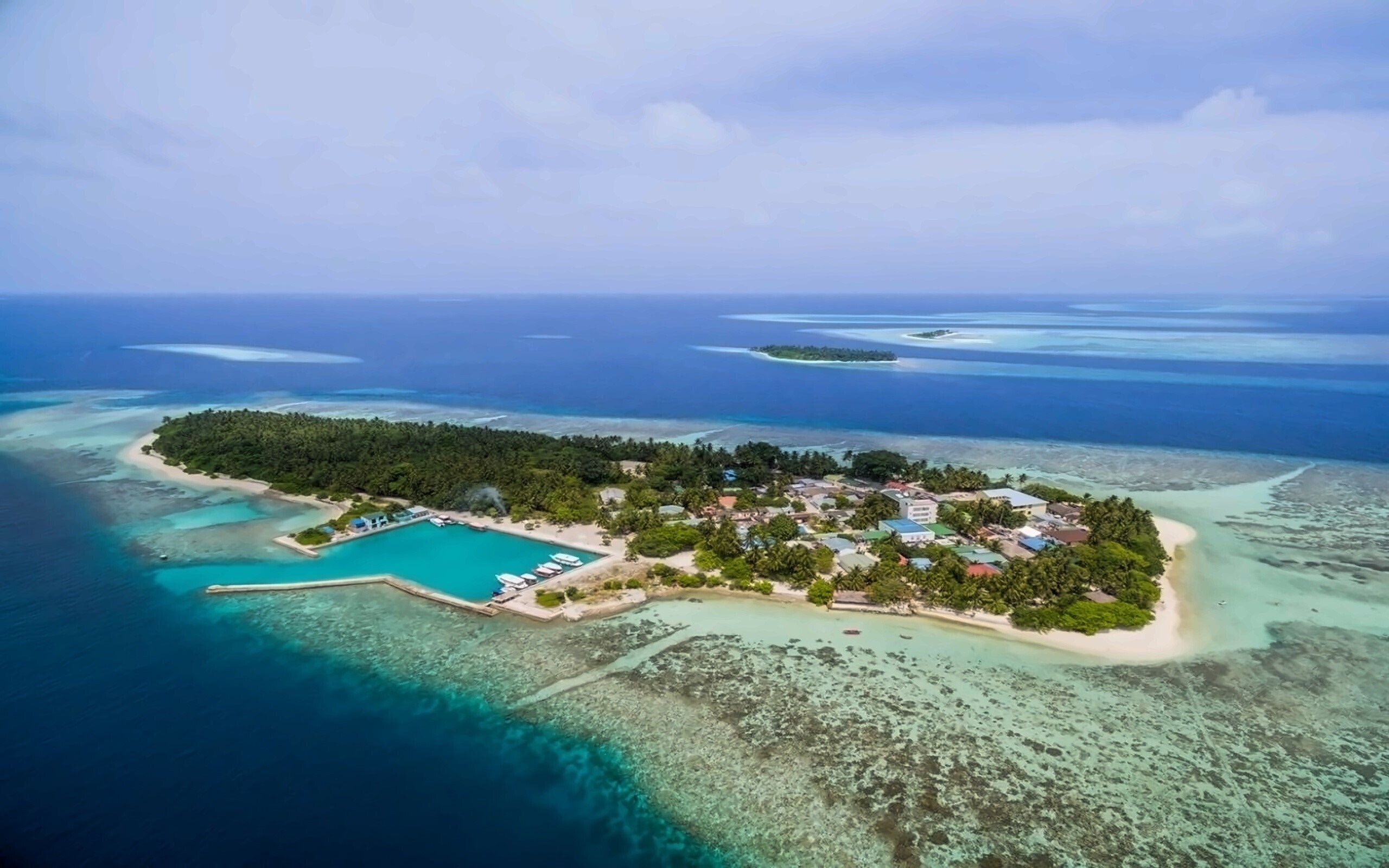 Plumeria Maldives Guest House 1* қонақ үйі