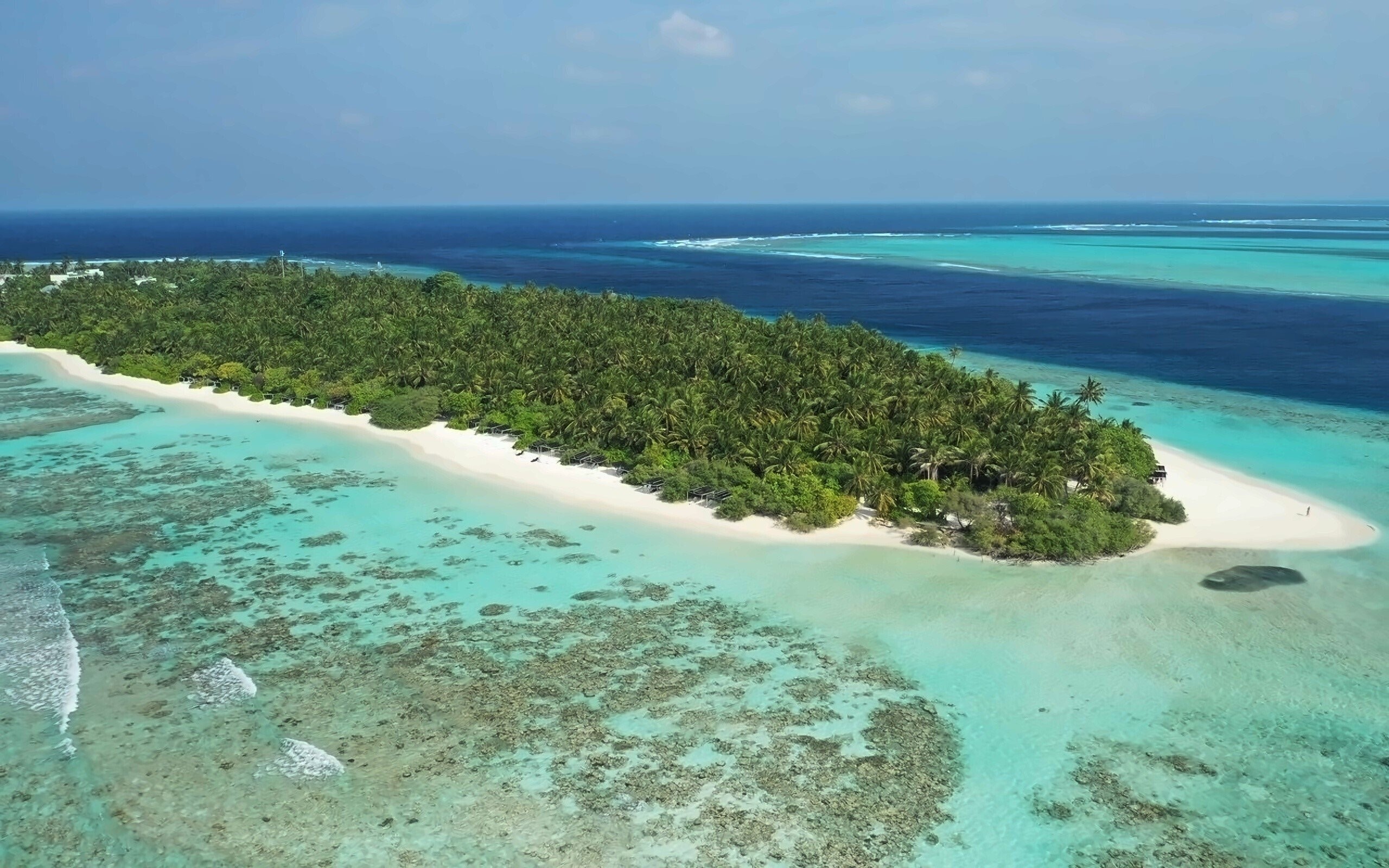 Plumeria Maldives Guest House 1* суреті