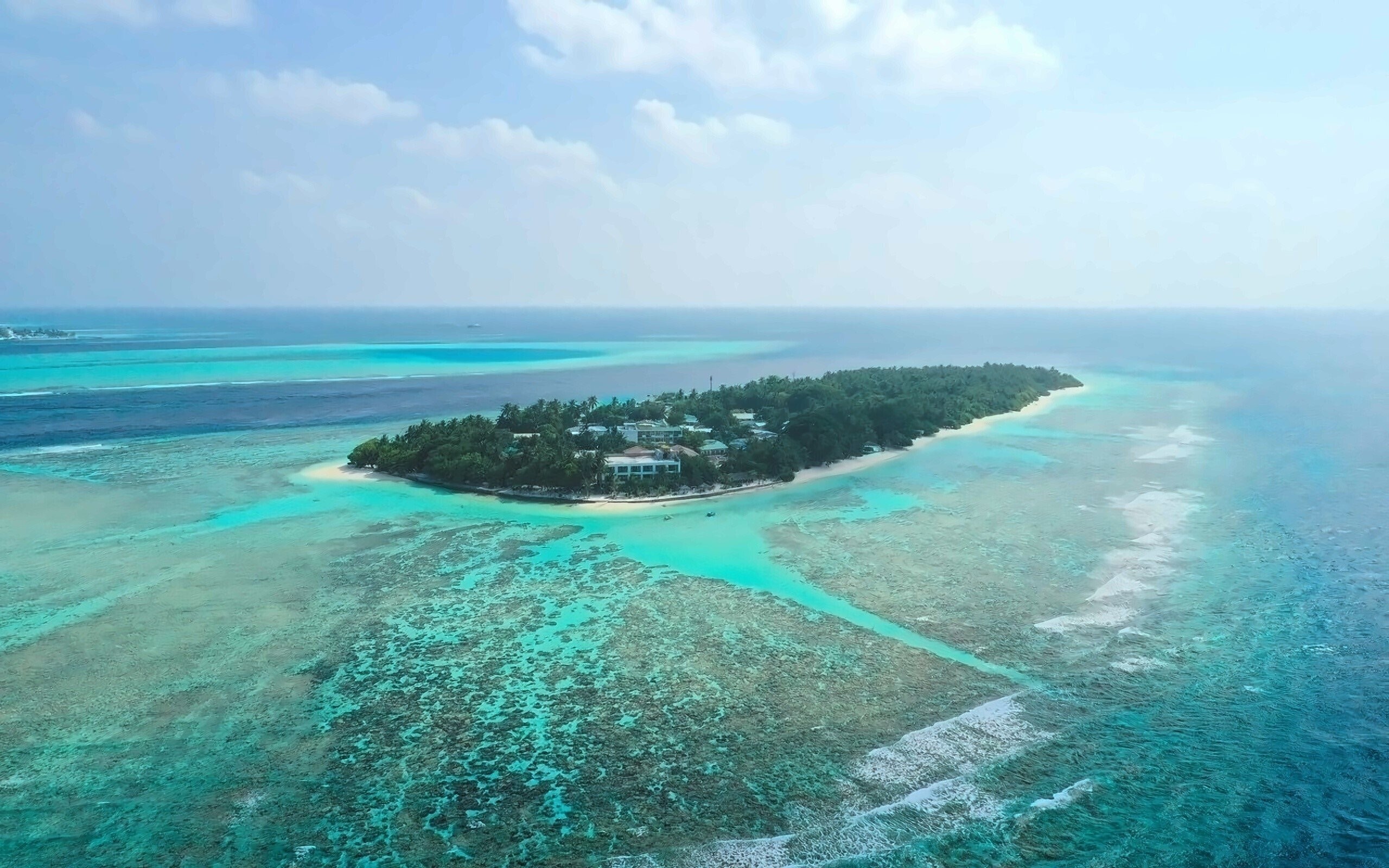Plumeria Maldives Guest House 1* суреті