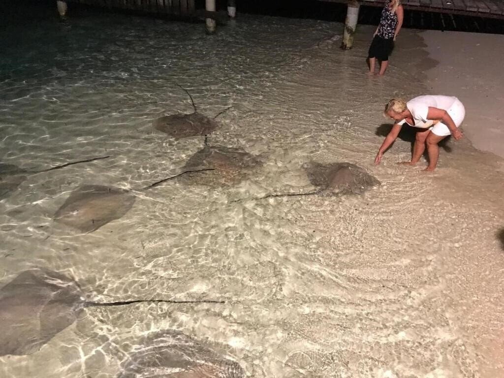 Thundi Sea View 3* суреті