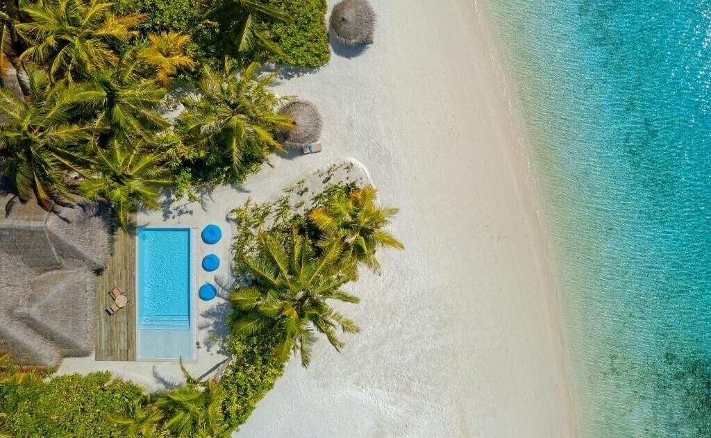 Anantara Dhigu Resort & SPA 5* суреті