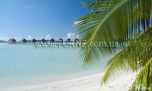 Cocoa Island 5* суреті