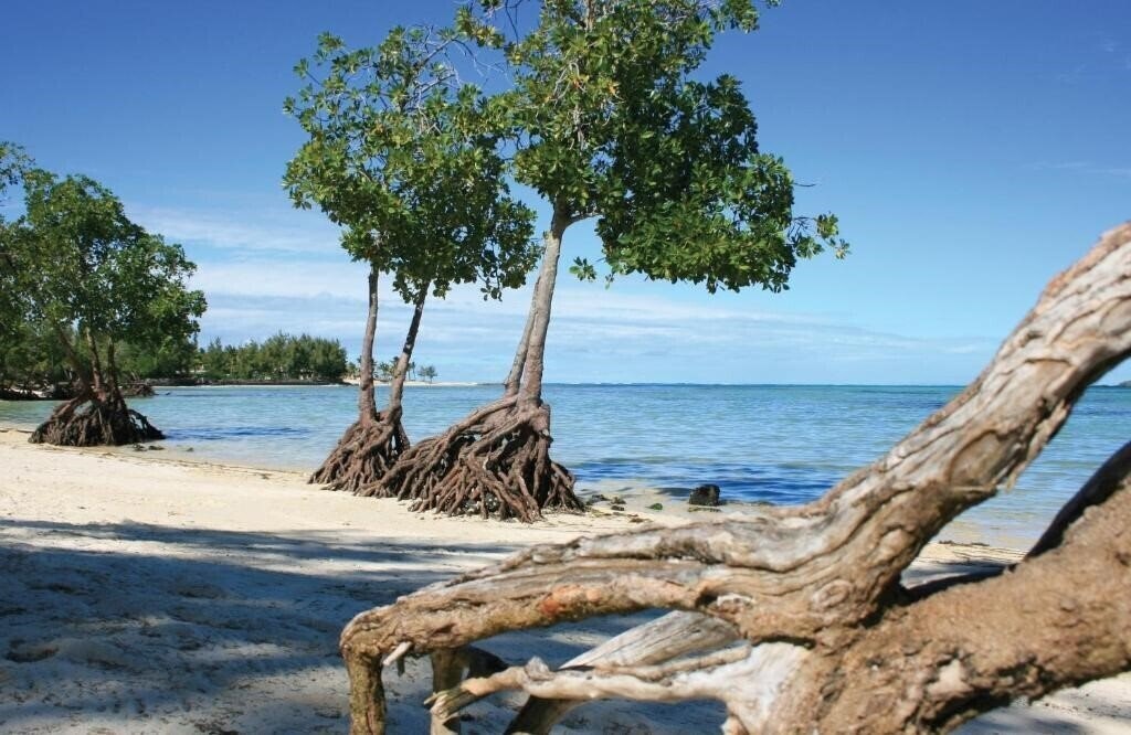 Jalsa Beach Hotel & Spa Mauritus 4* суреті