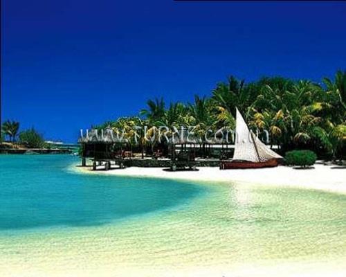 Картинка Paradise Cove 5*