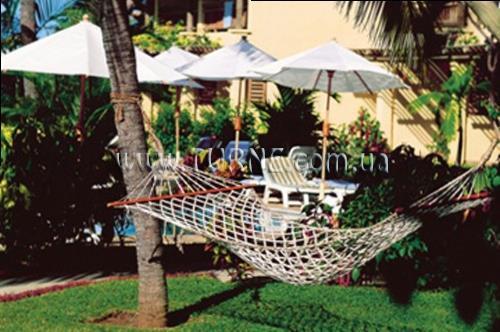 Paul & Virginie 2* суреті