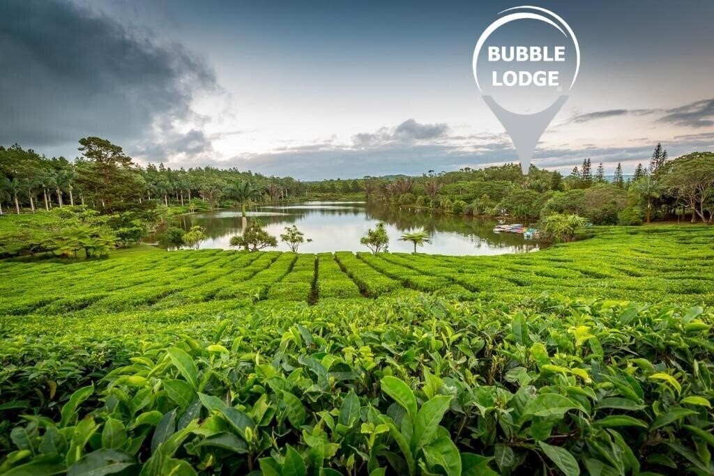 Bubble Lodge 4* фотосуреті