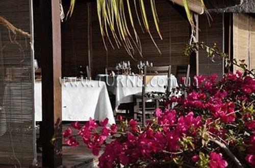 Фотография The Bay 3*