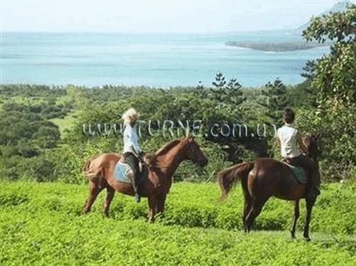 Отель The Bay 3*