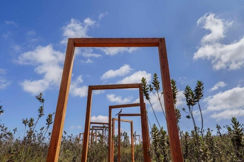 Banyan Tree Veya Valle De Guadalupe 5* суреті