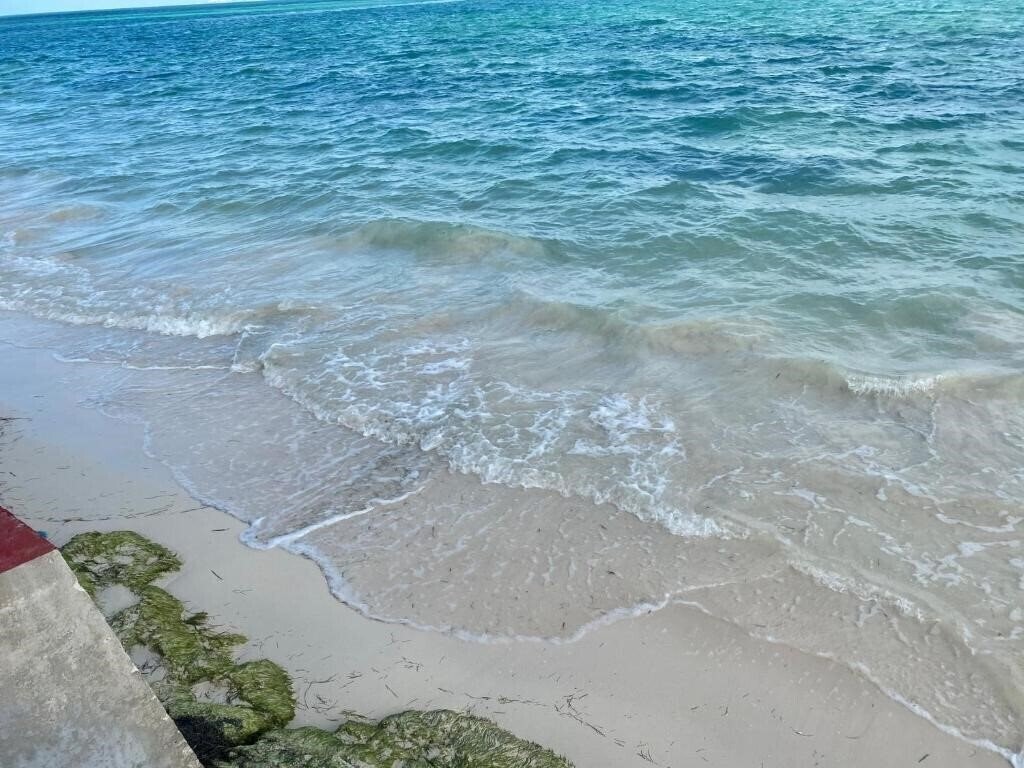 Casa Caribe Cancun 3* суреті