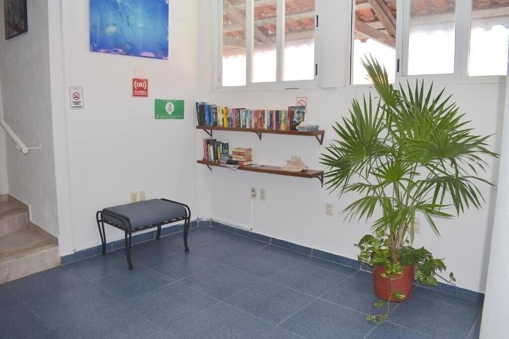 Plaza Almendros 3* суреті