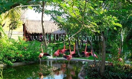 Iberostar Cozumel 5* суреті