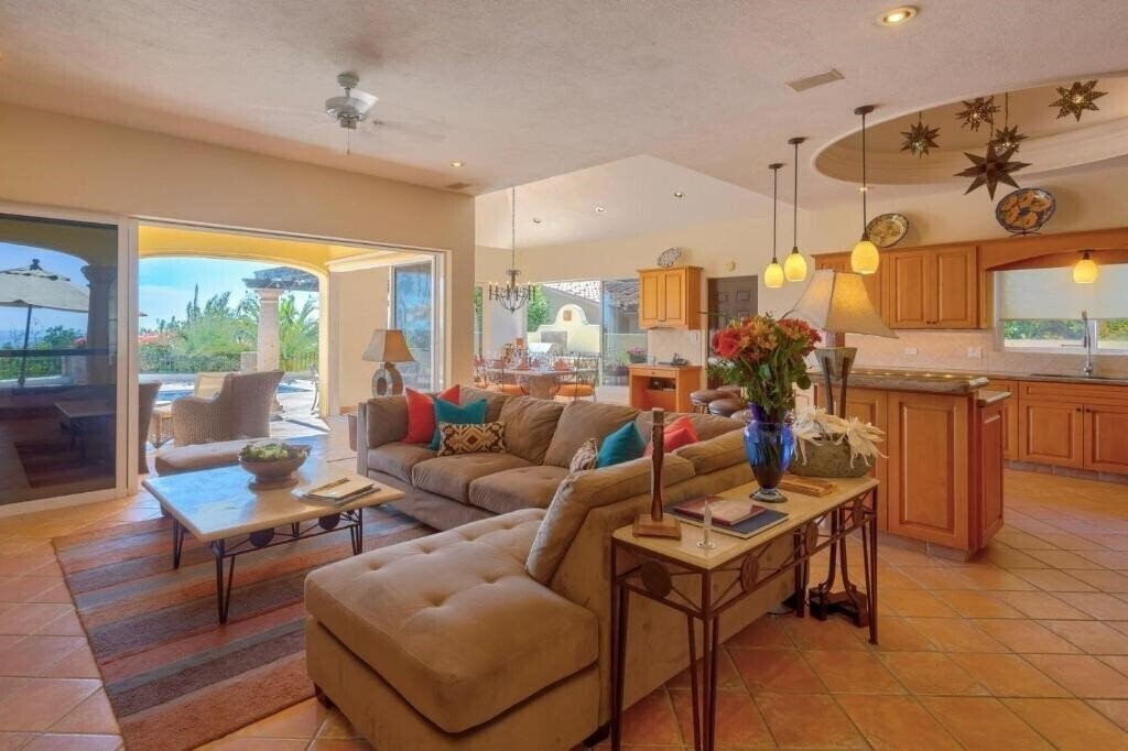 Картинка Agave Azul 2*