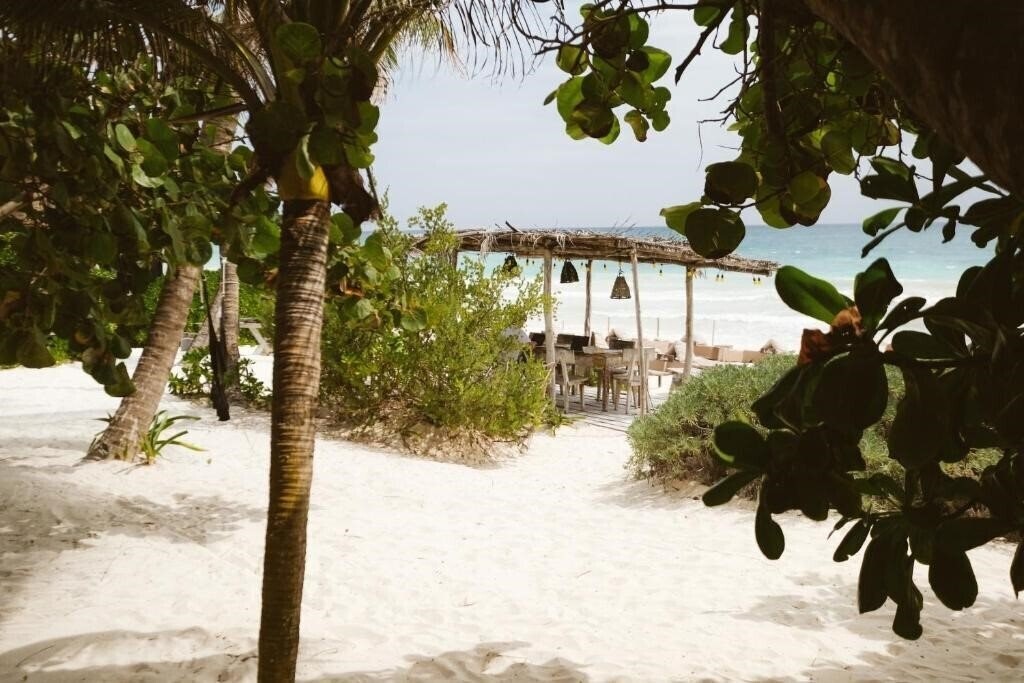 Картинка Casa Violeta 3*