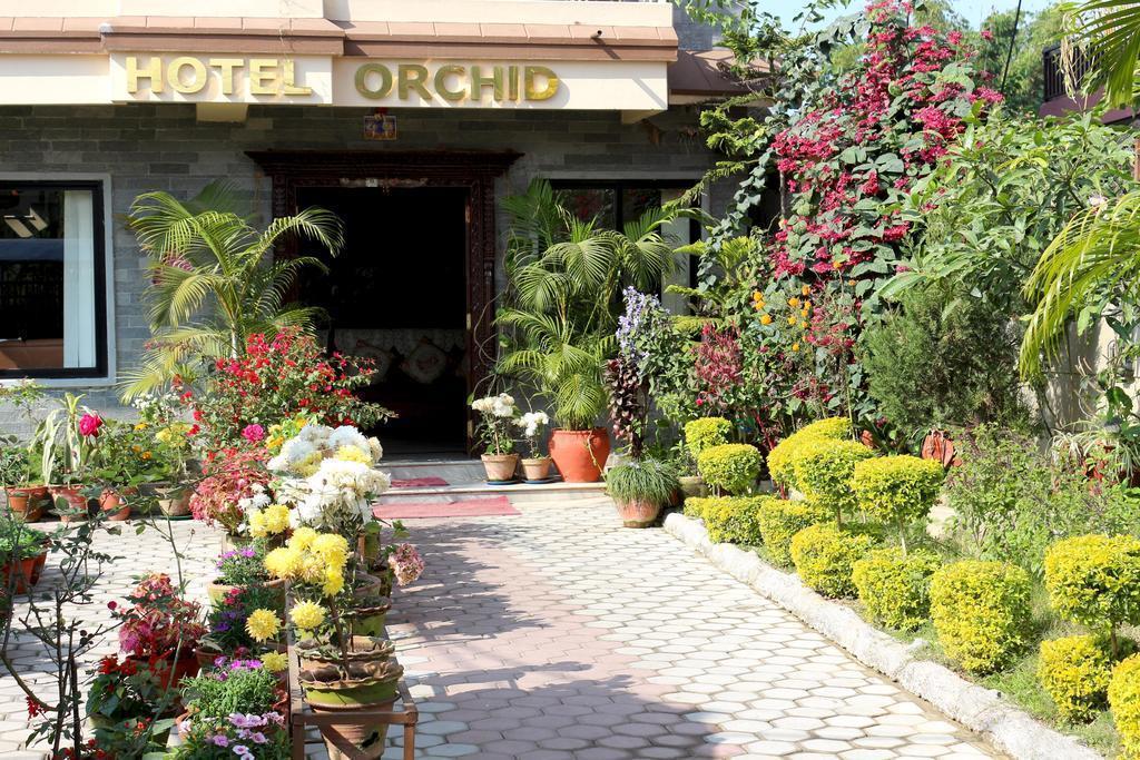 Фотография Hotel Orchid 3*