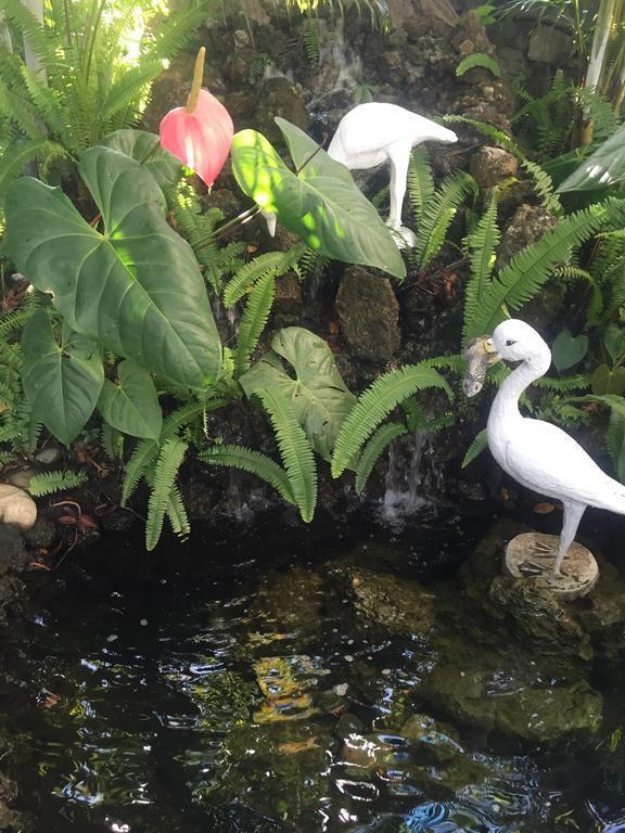 Изображение The Silver Oaks Inn 3*