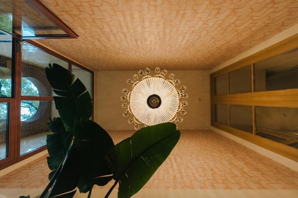 Omega 3* суреті