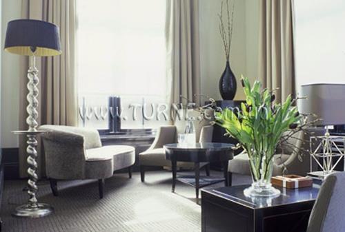 Отель College 4*