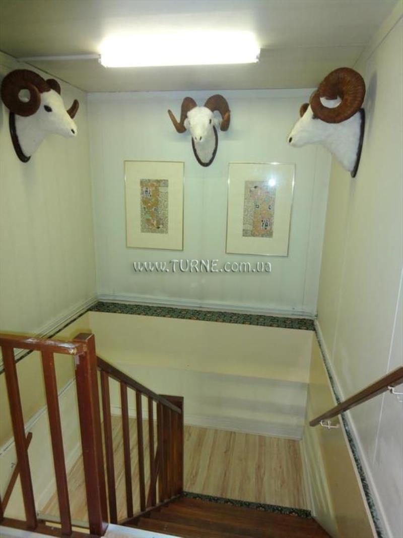 Budget Bargain Toko 2* суреті