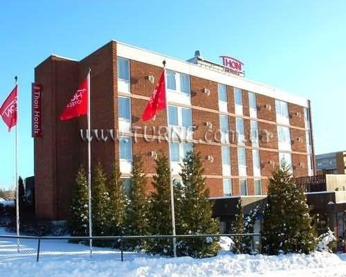 Картинка Linne 3*