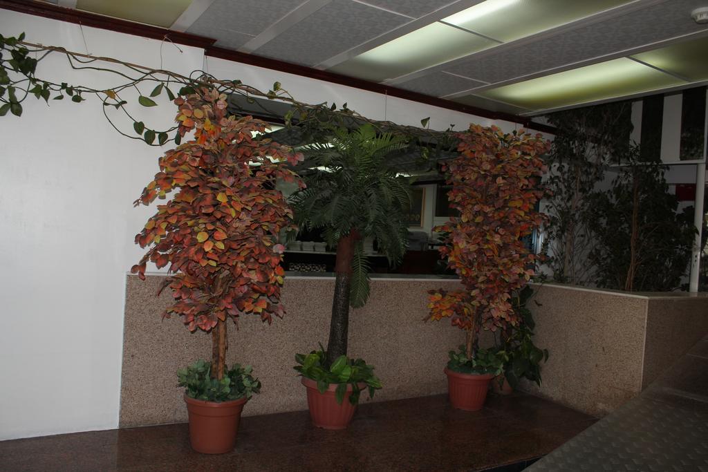 Фотография Gava Hotel 1*