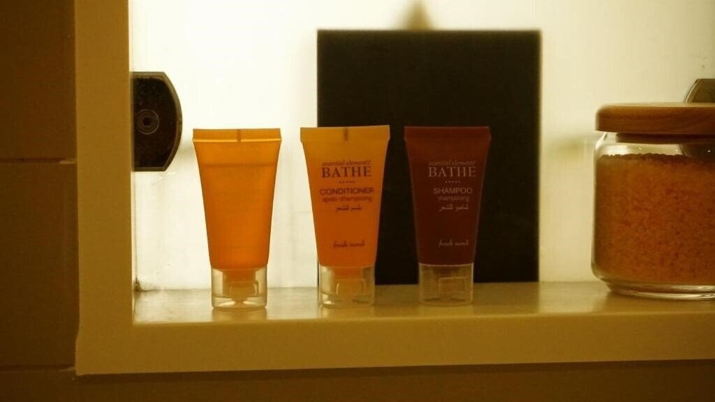 Фотография Copthorne Airport Hotel Dubai 3*