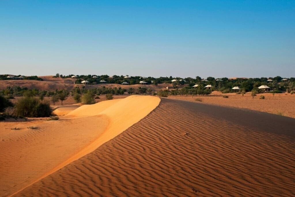 AL Maha Desert Resort & SPA 5* суреті