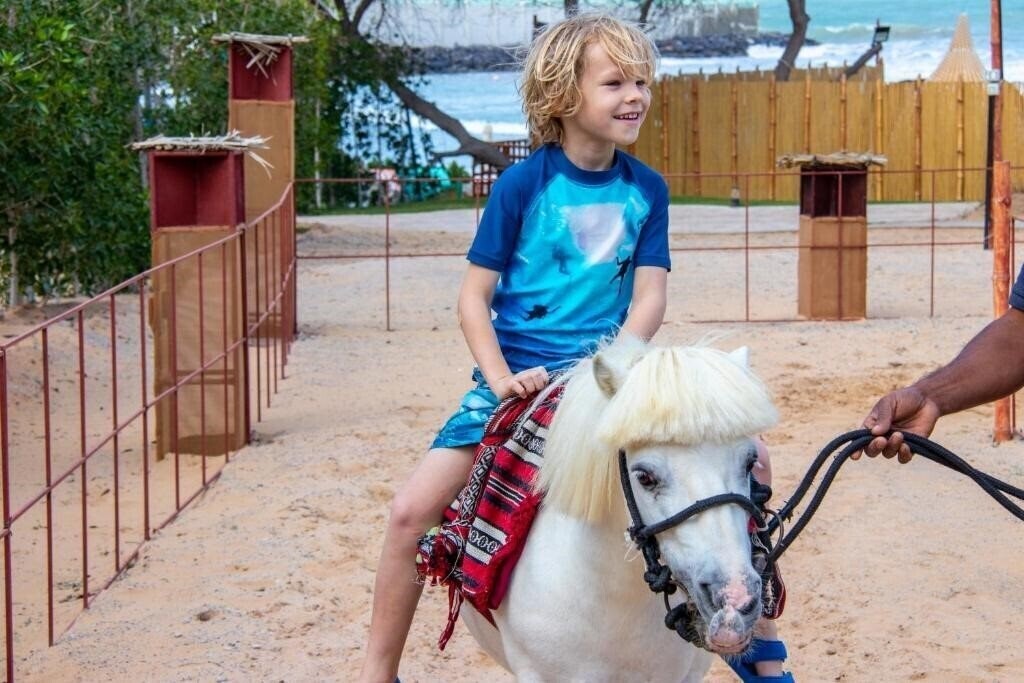 The Longbeach Campground кемпинг суреті