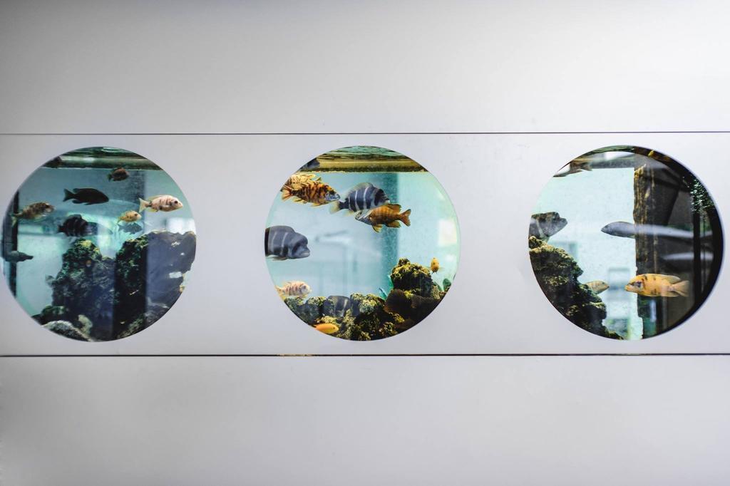 Изображение Interhouse Hotel 3*