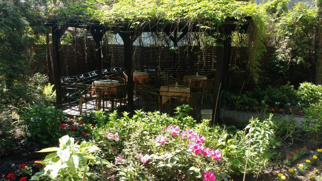 Monika 2* суреті