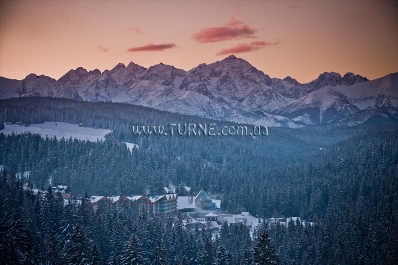 Отель Bukovina Hotel 4*