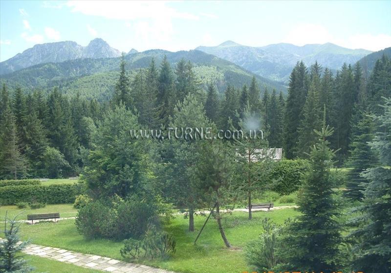 Siwarna 2* суреті