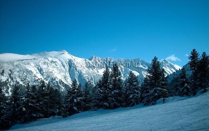 Отель Pensjonat Belami 2*