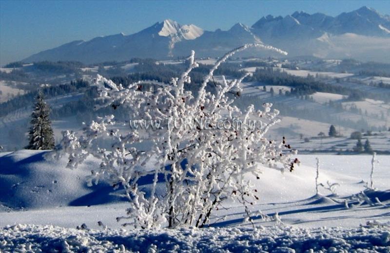 Helena Zakopane Harenda апартаменты қонақ үйі