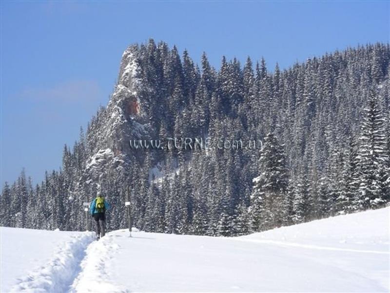 Фотография Nad Potokiem апартаменты