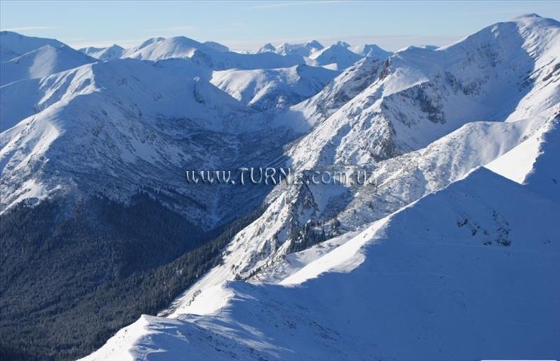 Apartamenty Orange апартаменты суреті