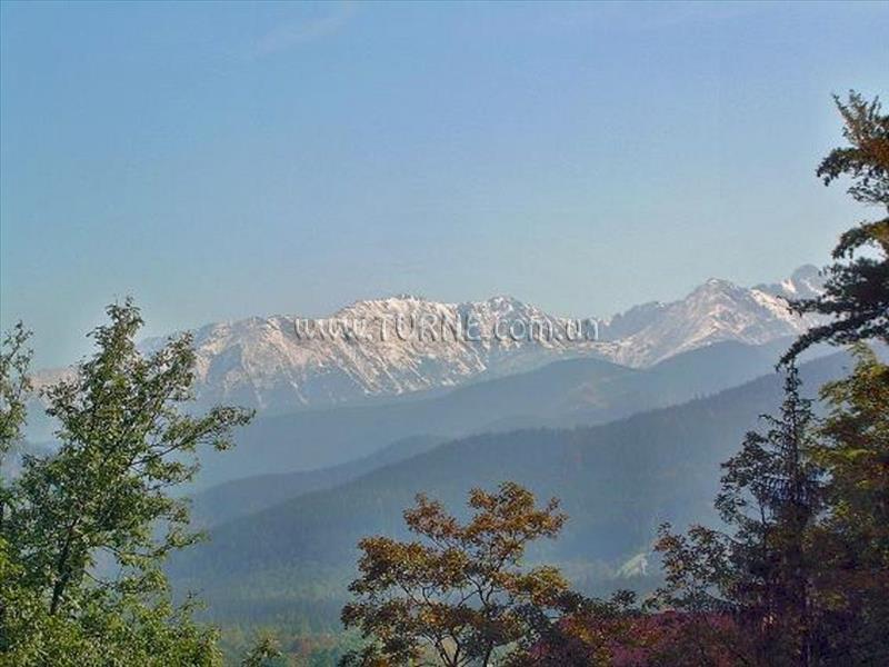 Фотография Villa Harenda вилла