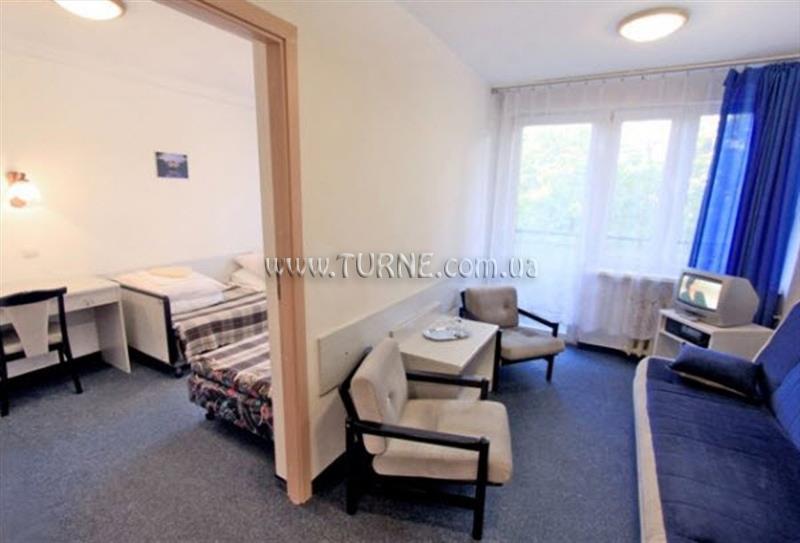 Картинка Zenepol Znp 1*